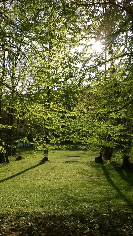 Apartma Obrh Šmarješke Toplice Esterno foto