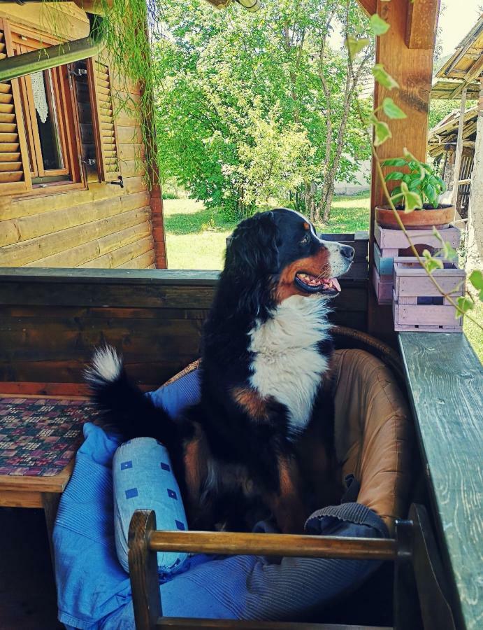 Apartma Obrh Šmarješke Toplice Esterno foto